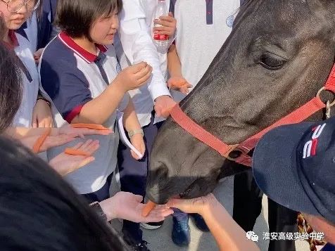 微信图片_20220407102932.jpg